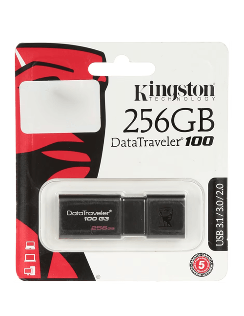 Memoria USB Kingston 256GB